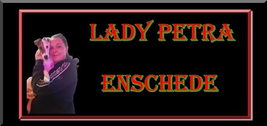 WhatsApp Image 2026 03 23 at 11.23.2088